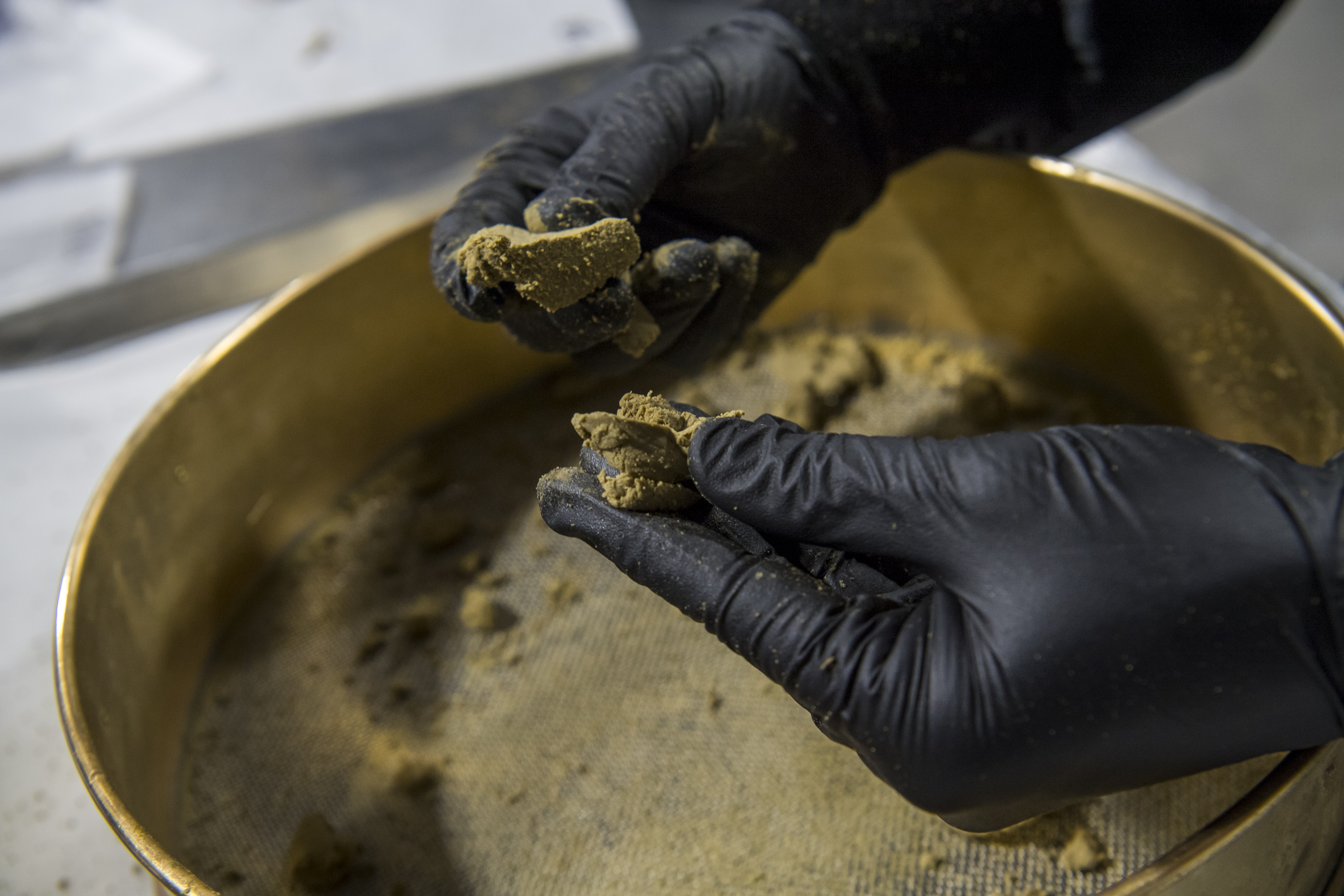 Hands in black vinyl gloves crumble hash over a stainless steel sifter. 