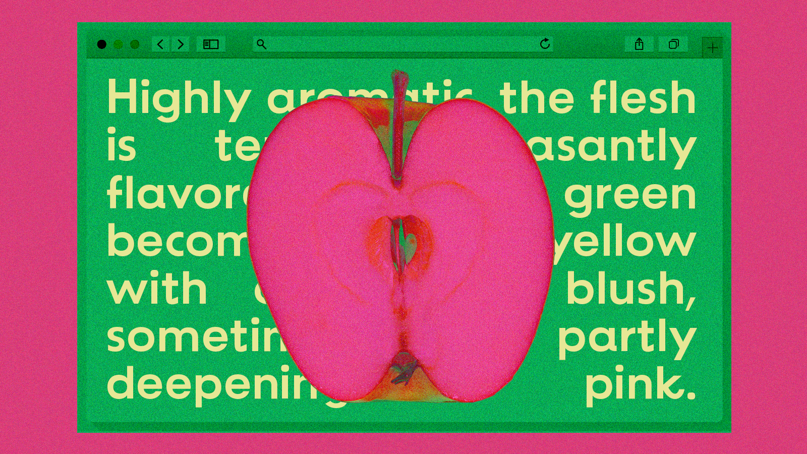 A halved hot-pink apple suspended in front of a green screen with text from the apple database. Illustration.